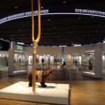 アイヌ民族の特徴と歴史を深掘り