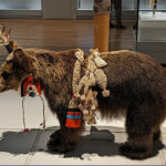 ムックリとトンコリで知るアイヌ楽器の文化